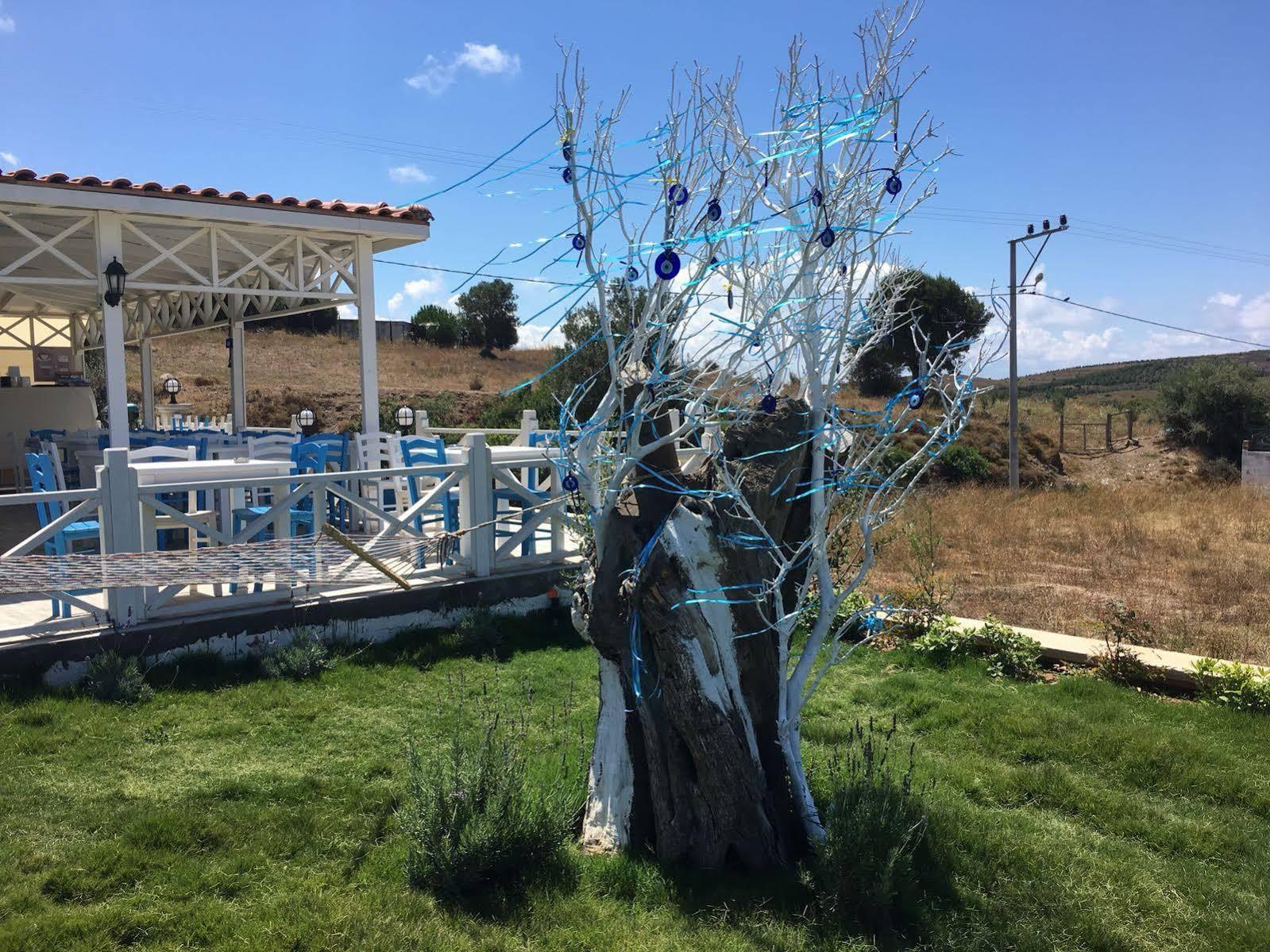 Mylos Hotel Bozcaada Eksteriør billede